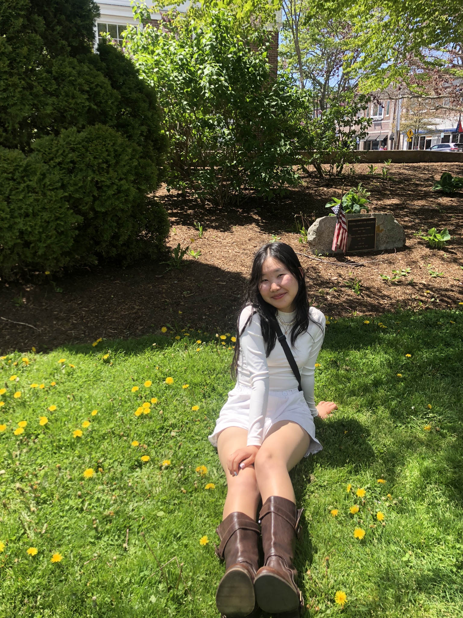 picture on the grass